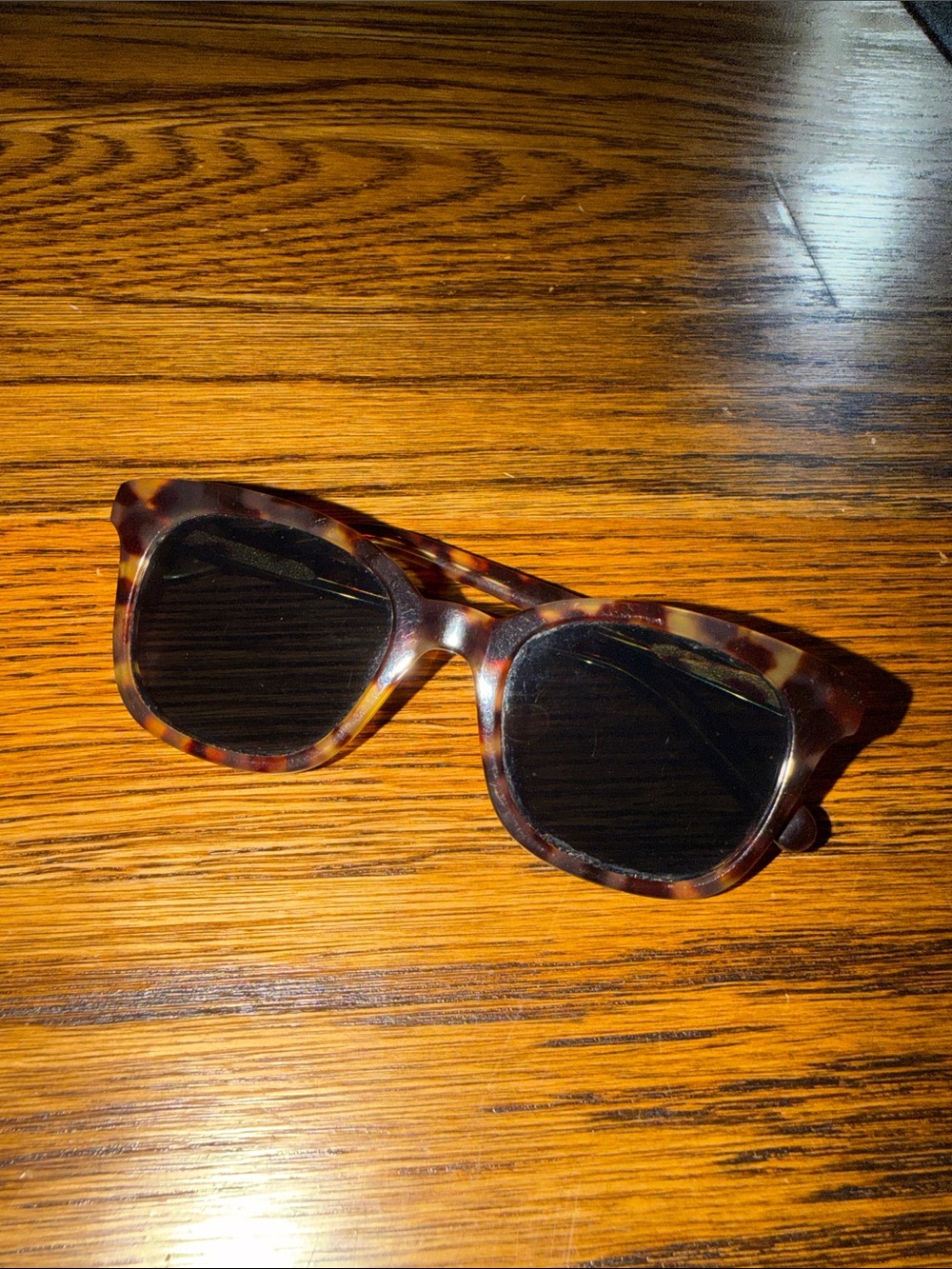Madewell Tortoiseshell Sunglasses with Dark Lenses